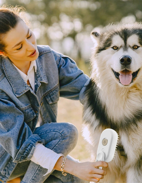 Ladda bilden i Galleri Viewer, Steam Brush for Shedding, Water Dog Brush, Steamy Pet Brush for Dogs Cats, Pet Spray Hair Removal Comb, Misting Misty Cat Brush, Steaming Cat Brush for Grooming
