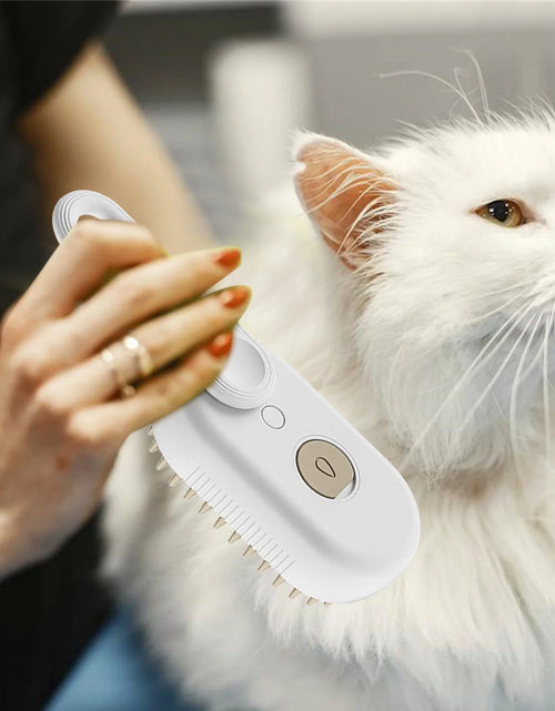 Ladda bilden i Galleri Viewer, Steam Brush for Shedding, Water Dog Brush, Steamy Pet Brush for Dogs Cats, Pet Spray Hair Removal Comb, Misting Misty Cat Brush, Steaming Cat Brush for Grooming
