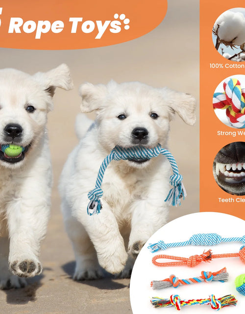 Ladda bilden i Galleri Viewer, Dog Toys for Small Dogs ,10 Pack Puppy Chew Toys for Teething and Training with Plush Squeaky Toys, Treat Ball and Rope Toys to Keep Them Busy

