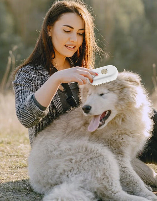 Ladda bilden i Galleri Viewer, Steam Brush for Shedding, Water Dog Brush, Steamy Pet Brush for Dogs Cats, Pet Spray Hair Removal Comb, Misting Misty Cat Brush, Steaming Cat Brush for Grooming
