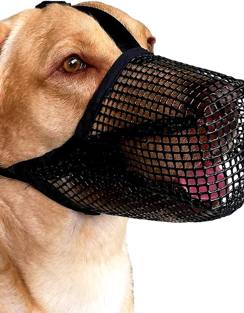 Load image into Gallery viewer, Pet Dog Muzzles Adjustable Breathable Dog Mouth Cover anti Bark Bite Mesh Dogs Mouth Muzzle Mask for Dogs
